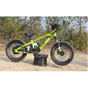 Balance E Bike Charged 16" 350w Green