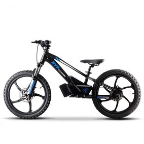 Controller 20" Balance E Bike Charged