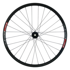 Frpnt Wheel DT Swiss EX511 350 hub 29 inch