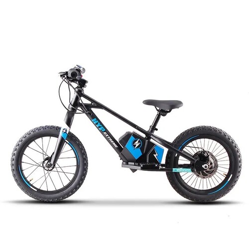 Controller 16" Balance E Bike Charged