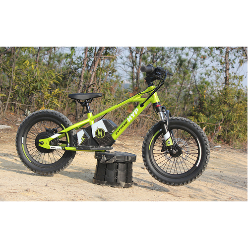 Balance E Bike Charged 20" 350w Green