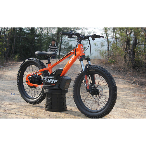 Charged 20" 500w Orange Balance E Bike